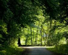 苹果ios下载（怎么下载小蓝app）